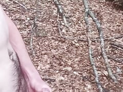 Walking naked at the top of a hill and in a forest with a cock ring on -naked walker