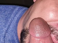Young cock 1